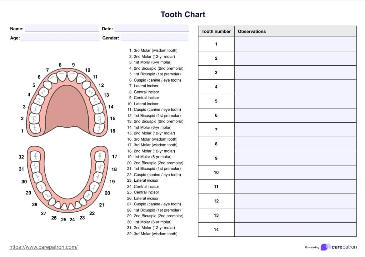 Free Printable Tooth Chart With Numbers