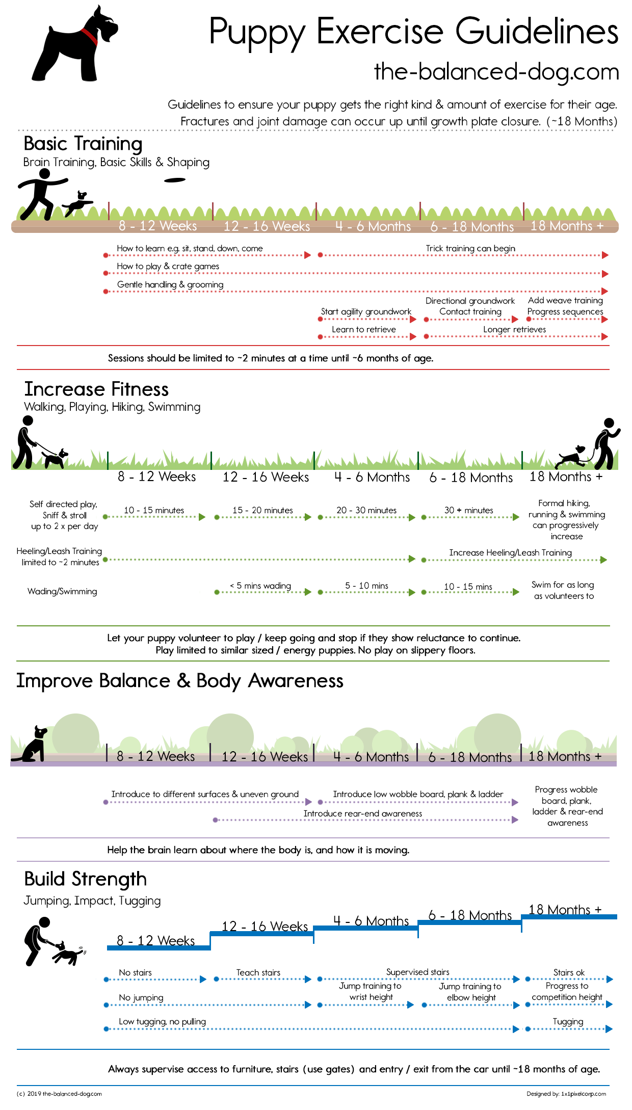 Top Puppy Exercise Guide Flash Sales