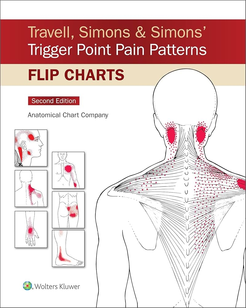 Travell Simons Simons Trigger Point Pain Patterns Flip Charts 9781975183783 Medicine Health Science Books Amazon