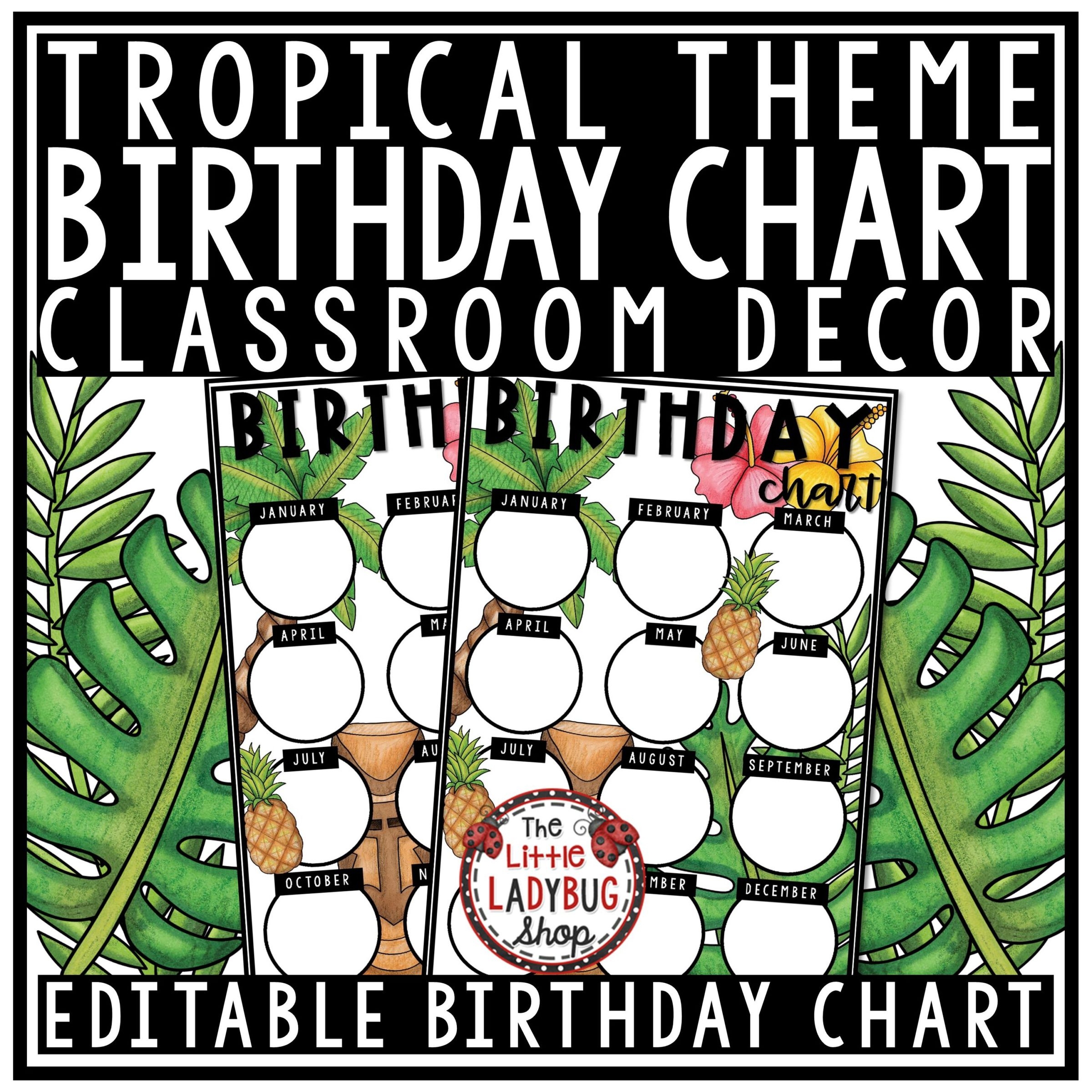 Tropical Theme Classroom Birthday Display Editable Printable 