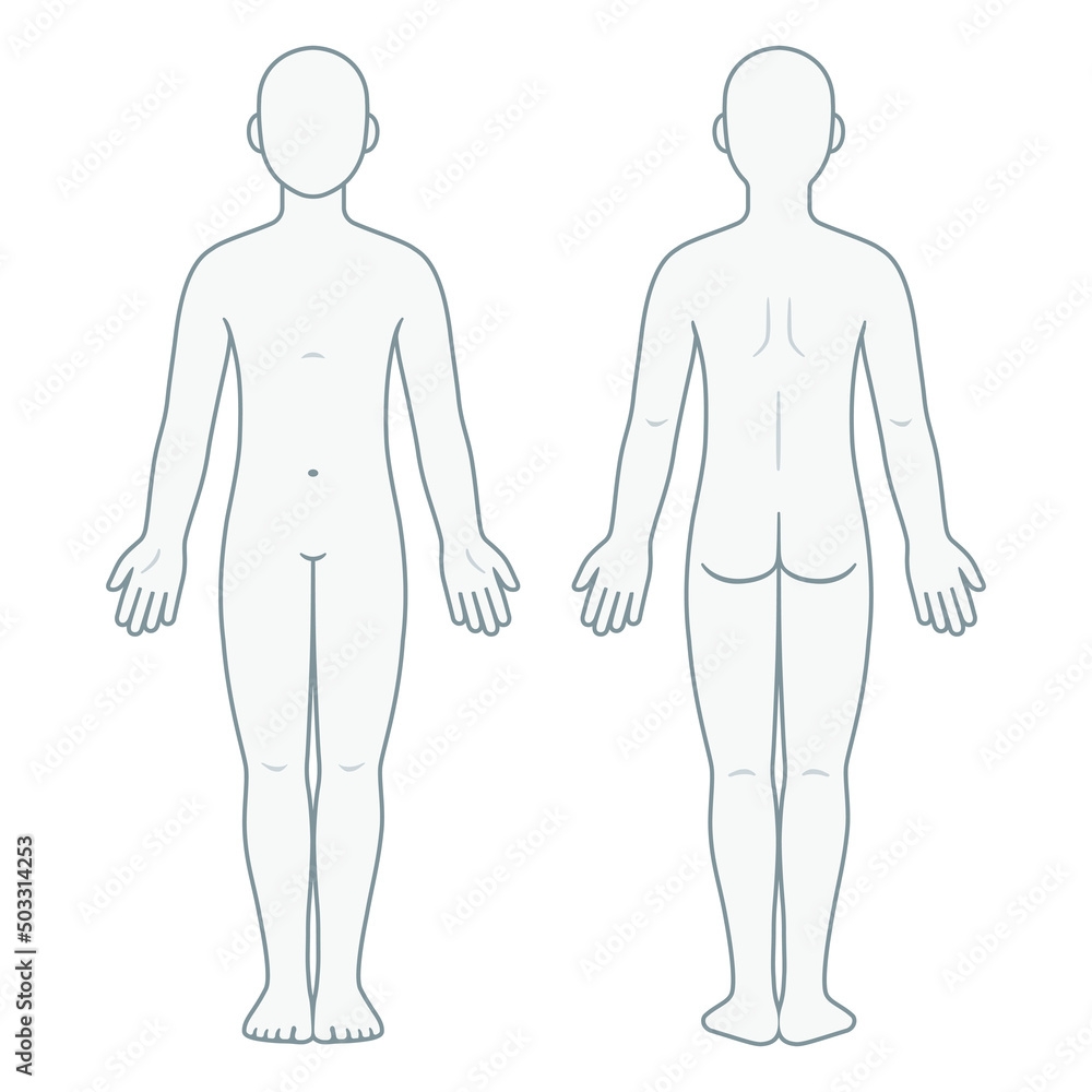 Unisex Body Chart Diagram Template Front And Back Stock Vector Adobe Stock