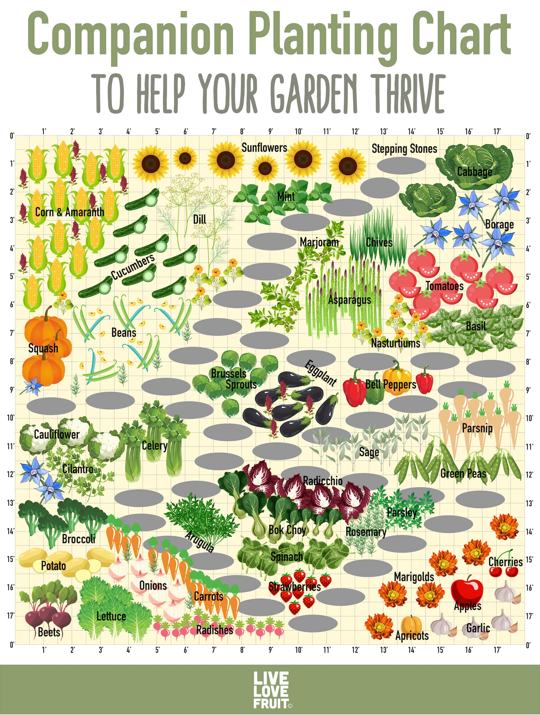 Use This Companion Planting Chart To Help Your Garden Thrive 