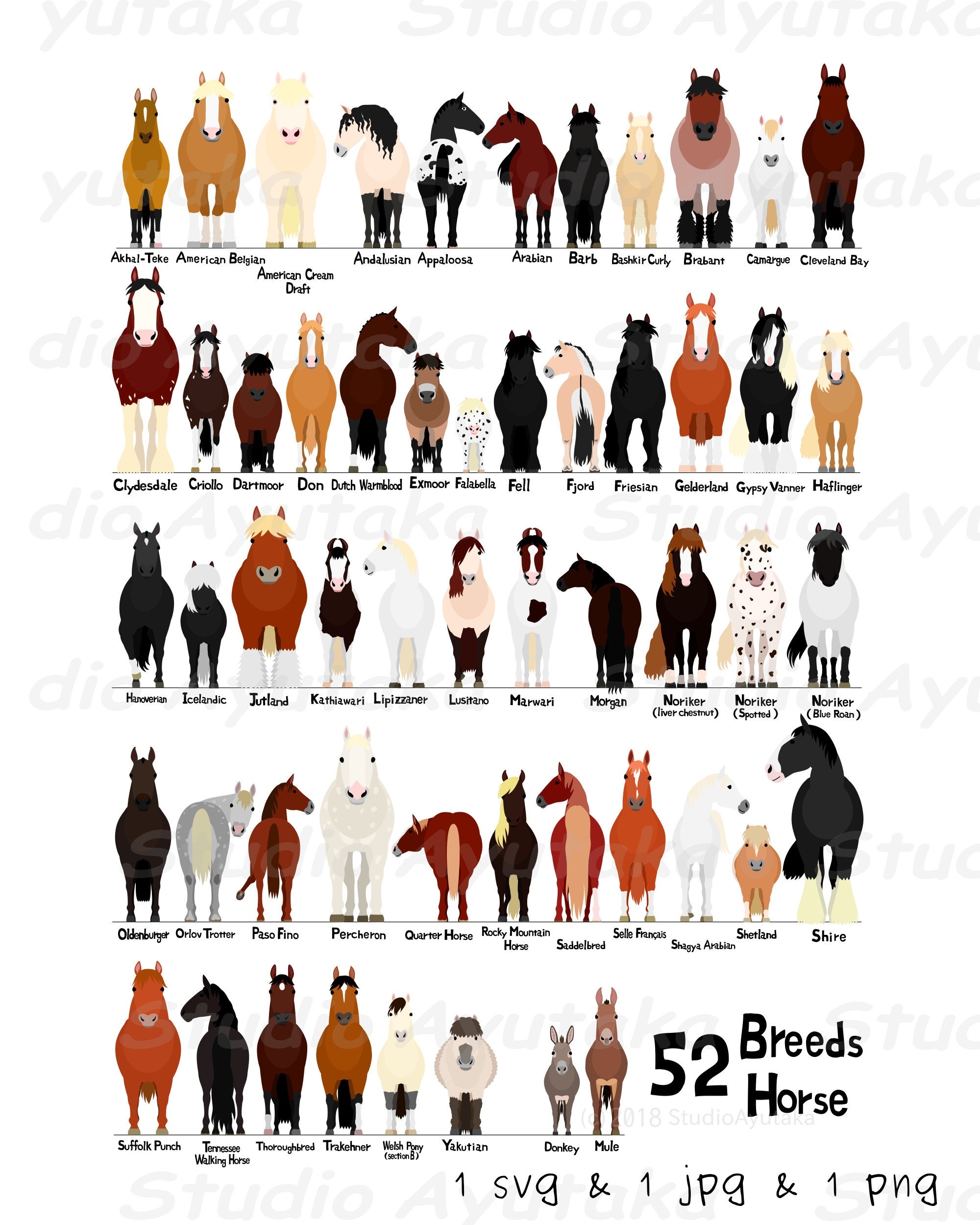 Various Breeds Of Horses Chart Svg Jpg Png 16 20 Etsy