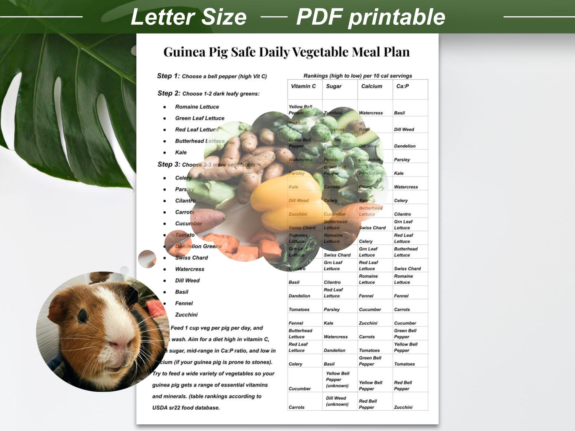 Veggies List Of Safe Foods For Guinea Pigs Printable Safe Guinea Pig Foods Vegetables Guinea Pig
