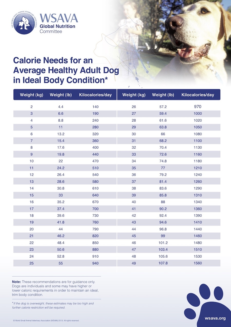 Vetcalculators Calorie Requirements Calculator Vetcalculators Calorie Requirements Calculator