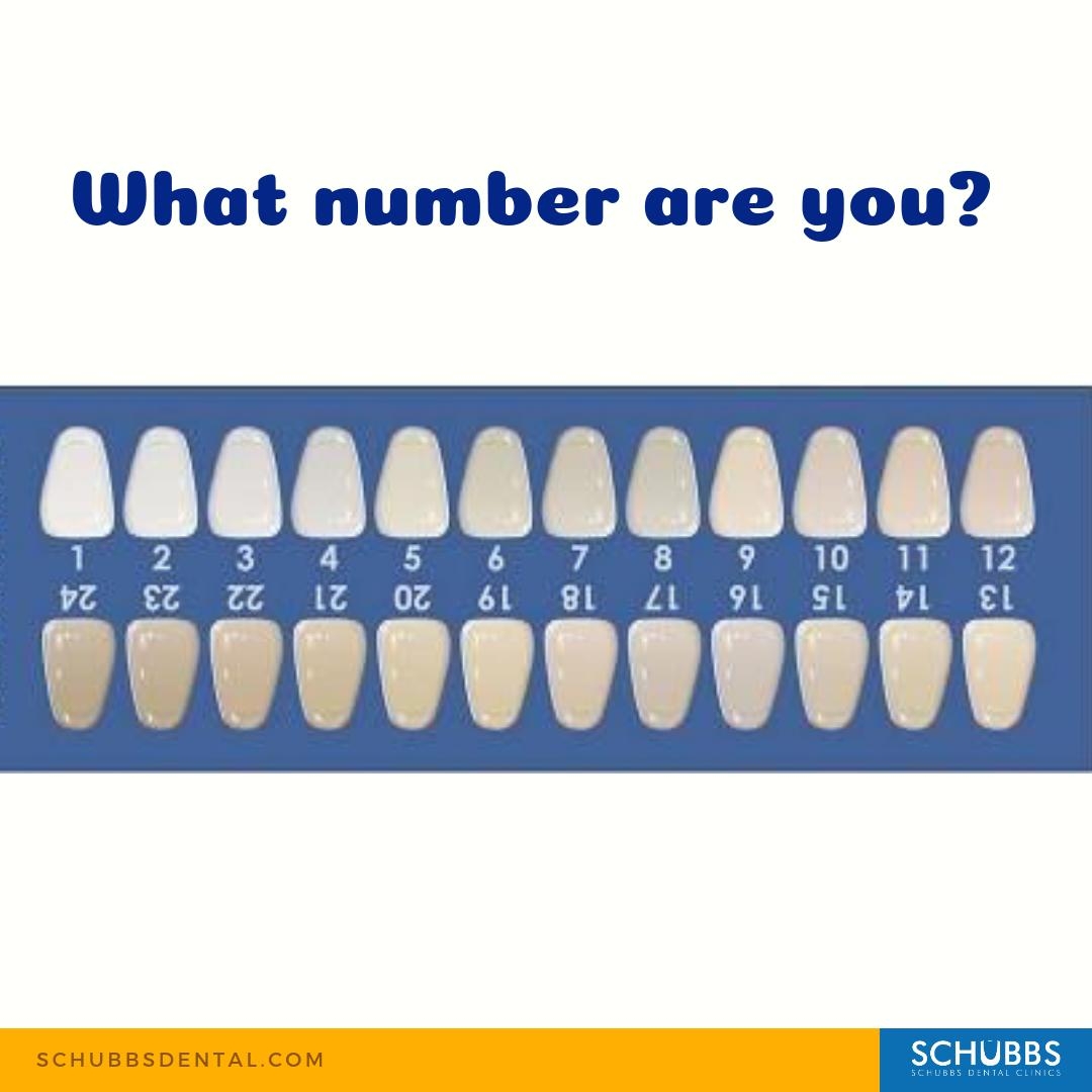 Vita Shade Guide Dental 5 Pack Teeth Whitening Shade Guides Dentist Grade Color Comparison Cards White Tooth Shade Chart