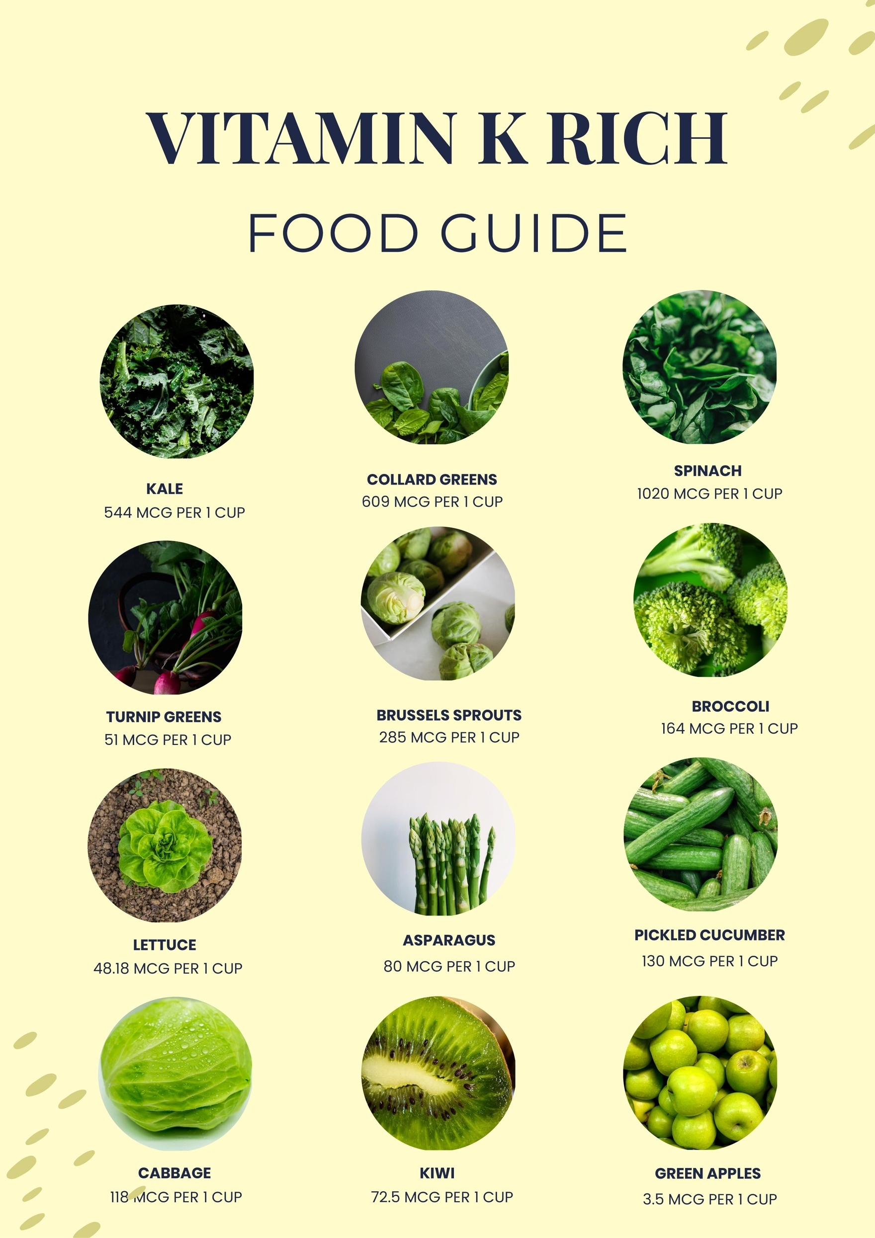 Vitamin K Chart In Illustrator PDF Download Template