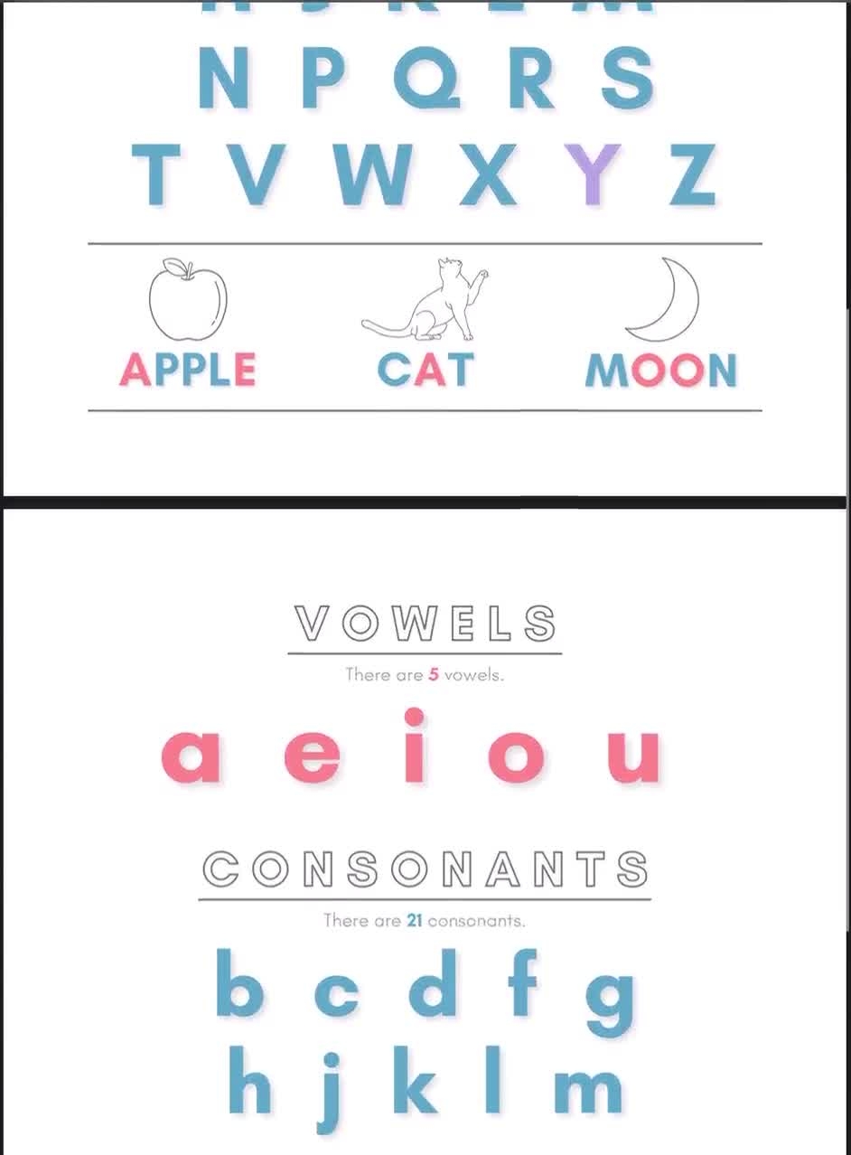 Vowels Poster Vowel Chart Consonant Chart Consonant Poster Alphabet Poster Abcs Poster Preschool Kindergarten First Grade Etsy