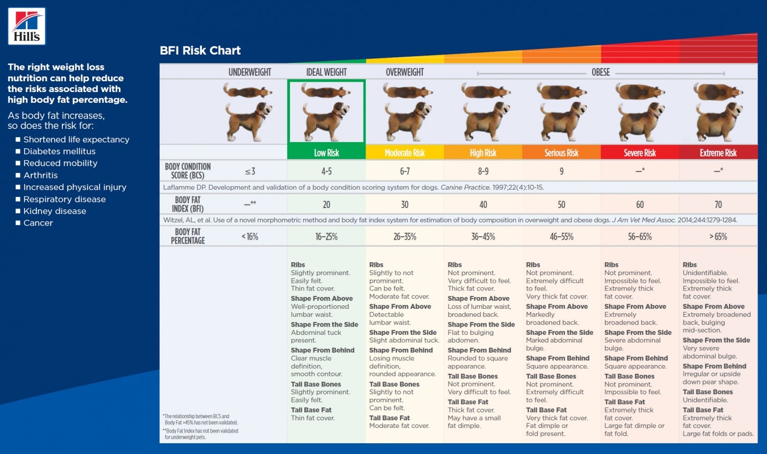 Weight Guide Knapp Vet Hospital Columbus OH Weight Guide Knapp Vet Hospital Columbus OH