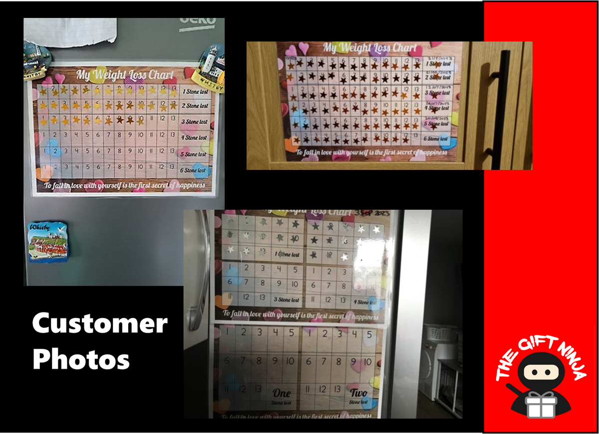 Weight Loss Chart Tracker 8 Stone 2 Sheet Of Stickers Slimming Diet EBay