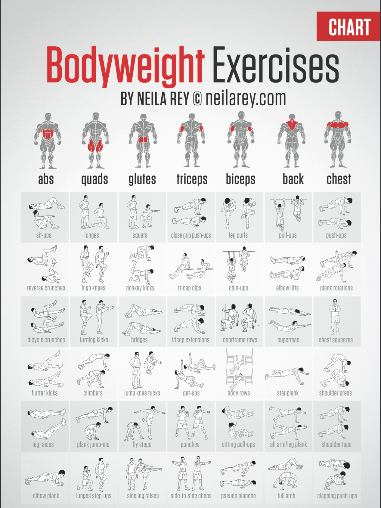 Weight Loss Multi Gym Workout Plan Pdf Top Free Multi Gym Exercises Chart Pdf Online