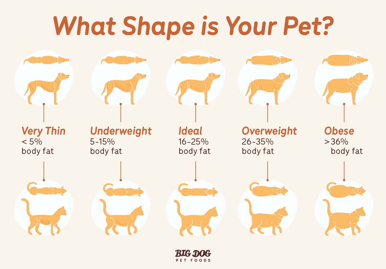 Pet Weight Loss Chart Pet Weight Loss Chart