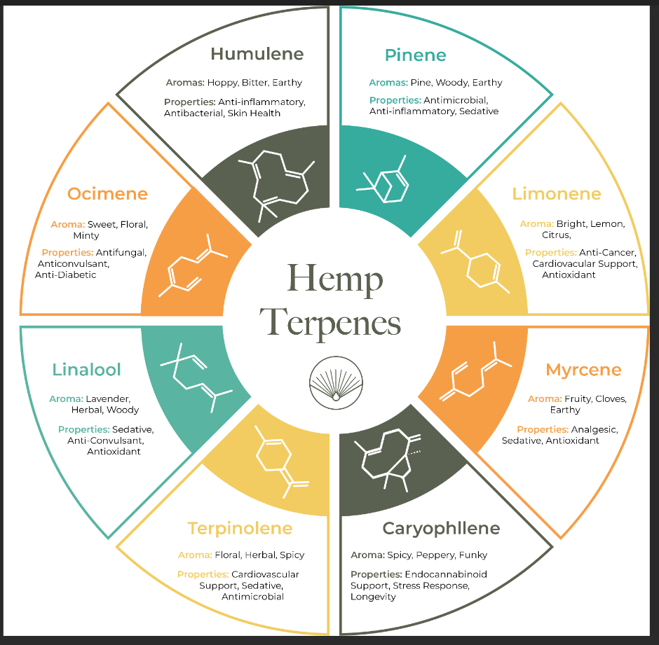 Effects Printable Terpene Chart