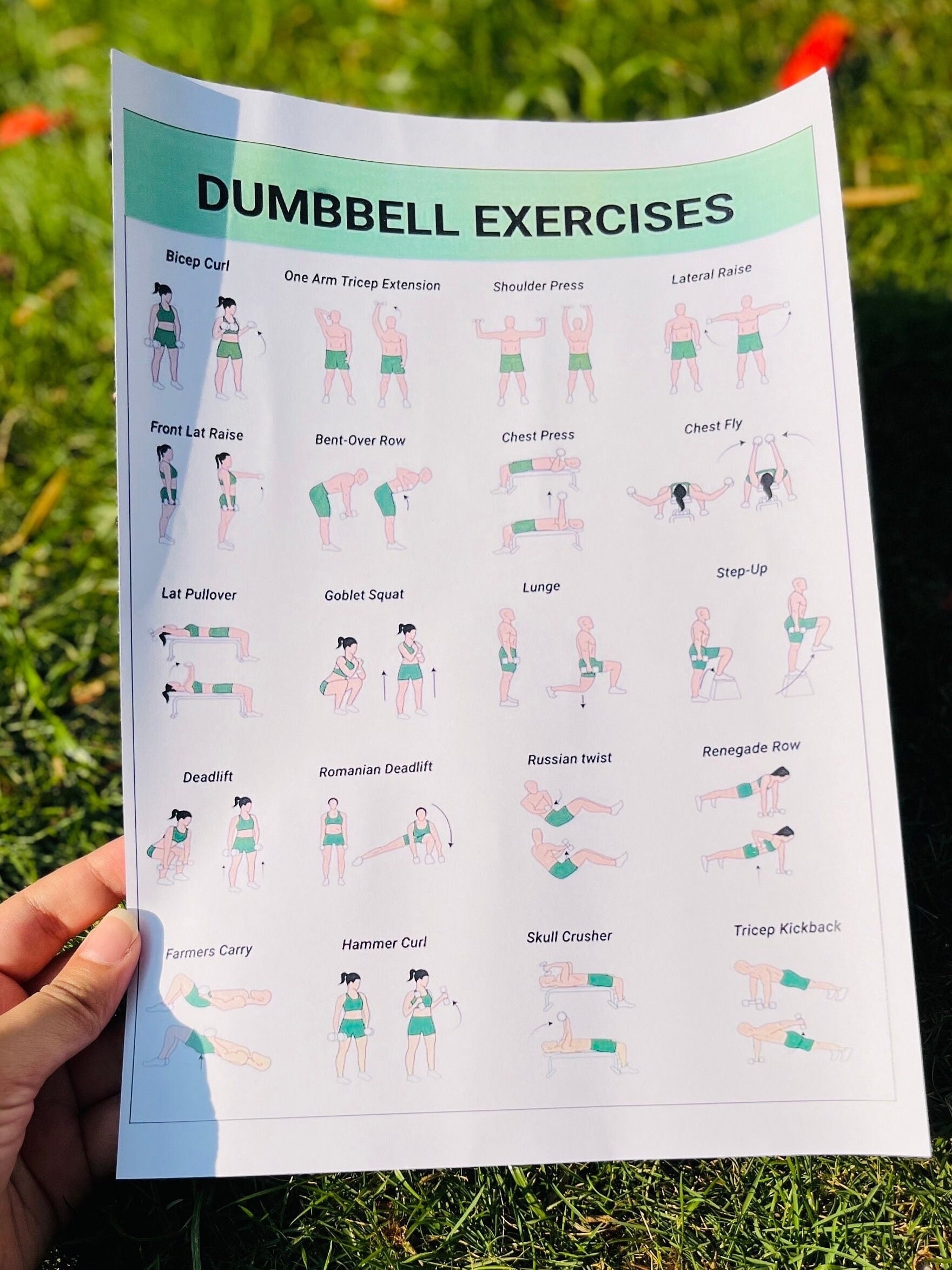 Workout Chart Printable Dumbbell Workout Routine Pdf Free Printable Gym Routine Exercise Chart Printable Dumbbell Workout Chart Printable Dumbbell Workout Routine Pdf Free Printable Gym Routine Exercise Chart Printable Dumbbell