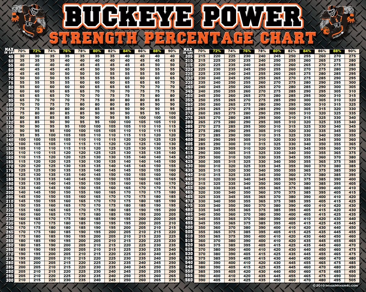Workout Form Guide Bench Press Workout Laminated Chart 24x36 Anatomical Exercise Guide For Home Or Gym Bench Press Laminated Workout Poster Guide