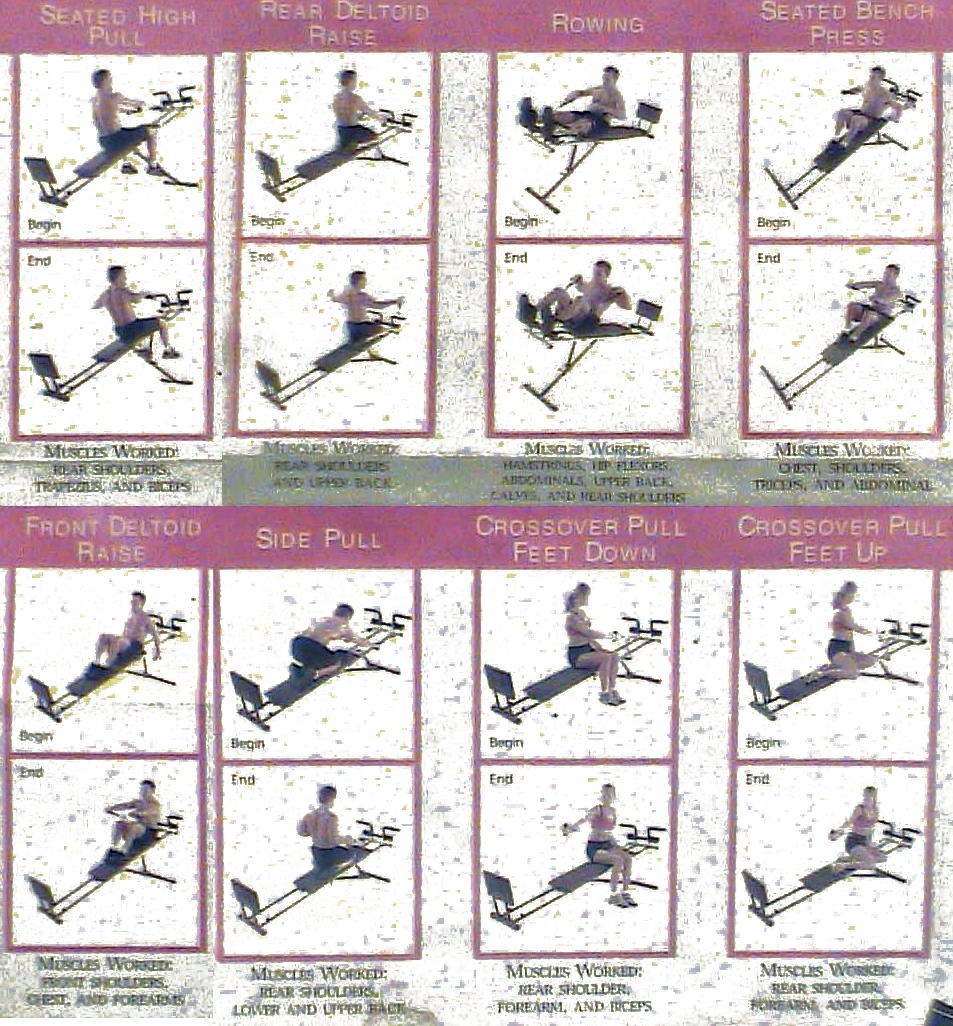 Workout Plan Weider Ultimate Body Works Storage Weider Ultimate Total Gym Workout Routines Chart Weider Total