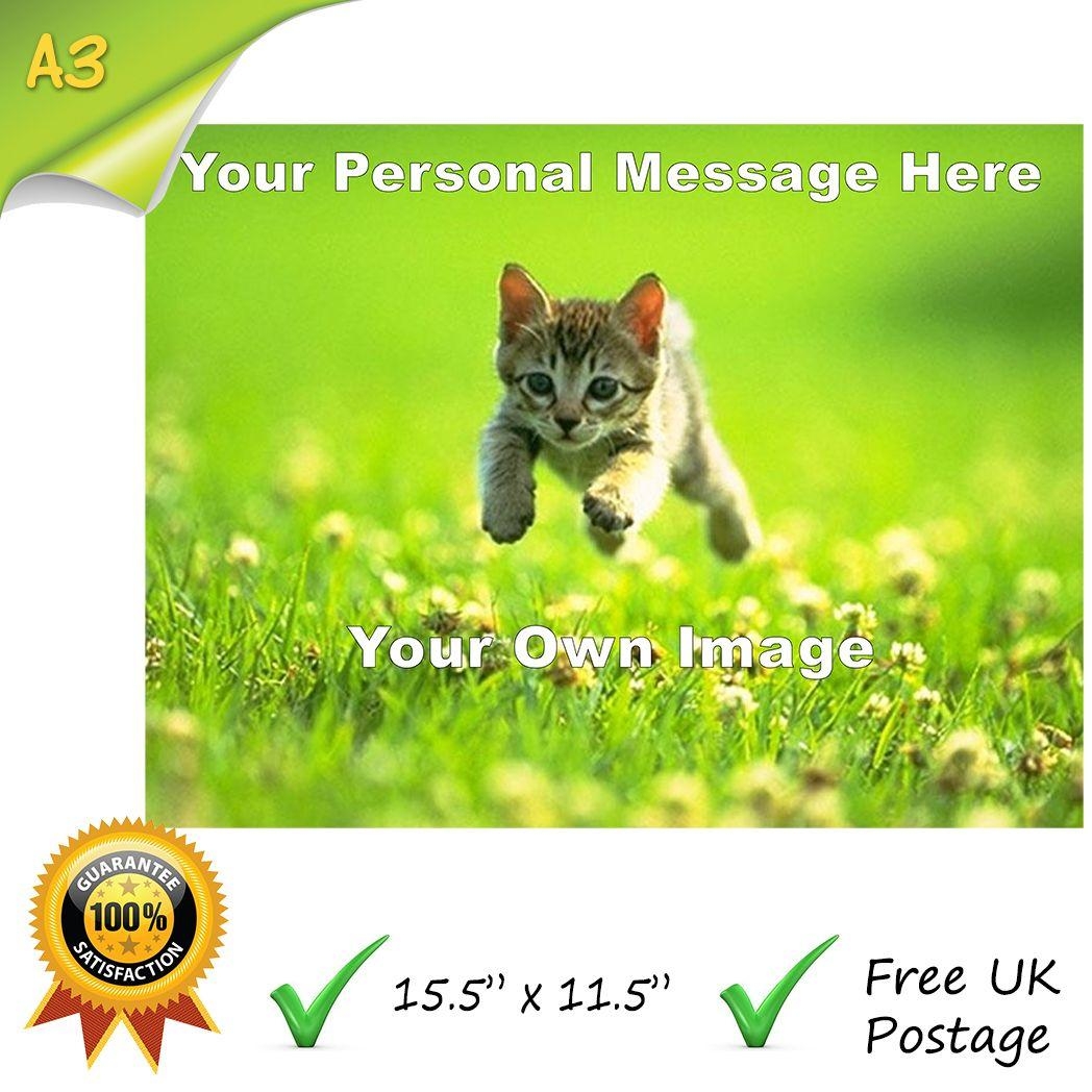 Printable Edible Icing Sheets